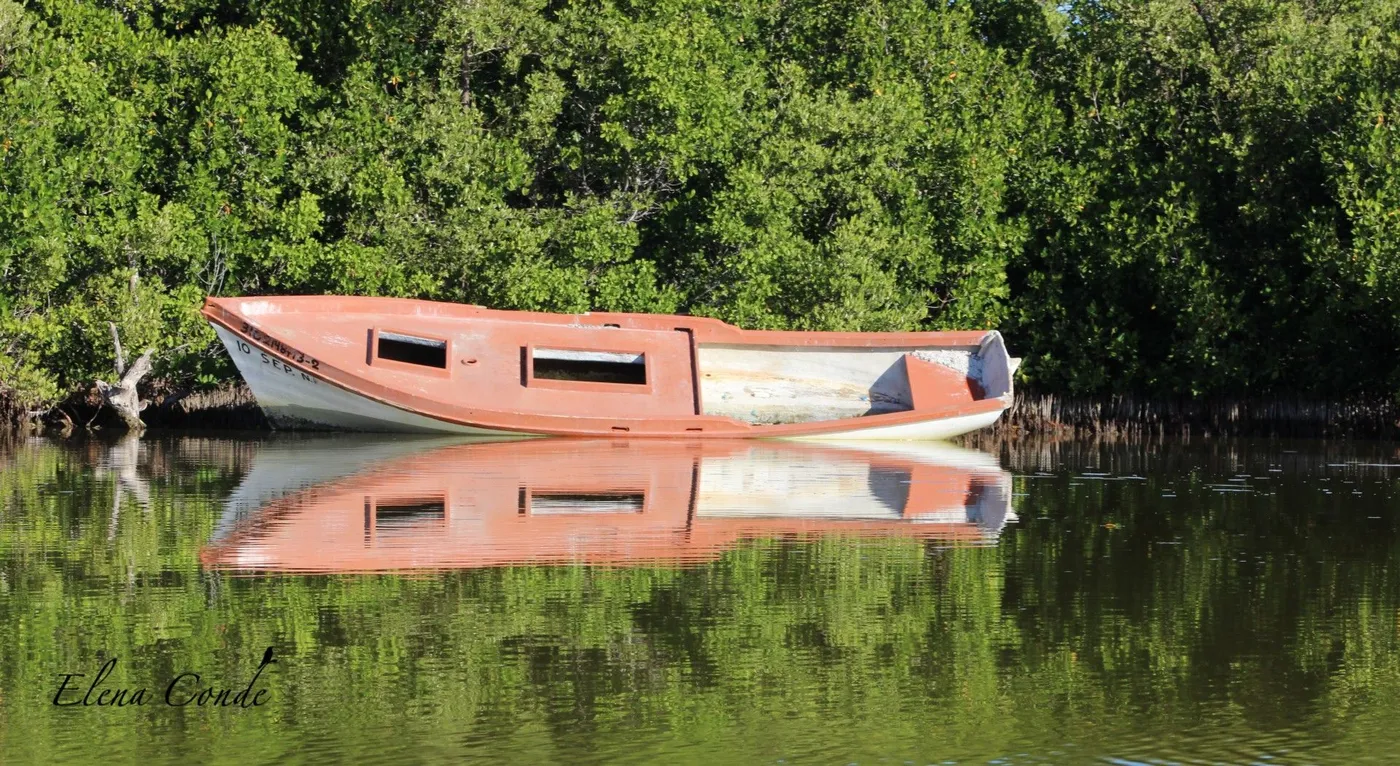 gallery-image-2