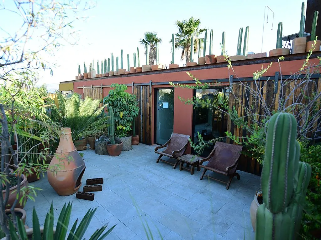 gallery-image-1