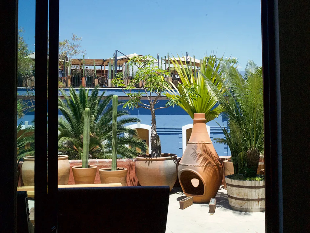 gallery-image-5