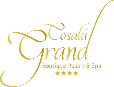 Hotel Cosalá Grand